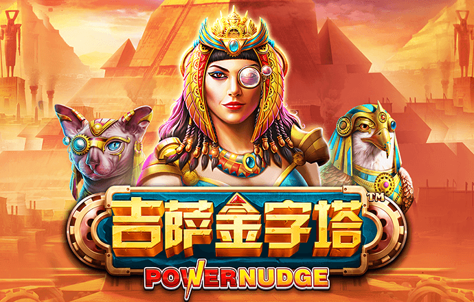 355彩票网官方版v2.0截图0